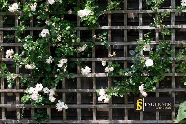 Can I put trellis on my Neighbours garage wall? 2 Do you want to adapt your neighbours garage door and add a trellis Bicester? Talk to Faulkner Surveyor Bicester